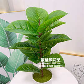 仿真植物叶15头大绿萝把束叶子 植物墙装饰配材假花鸡心叶 盆栽花