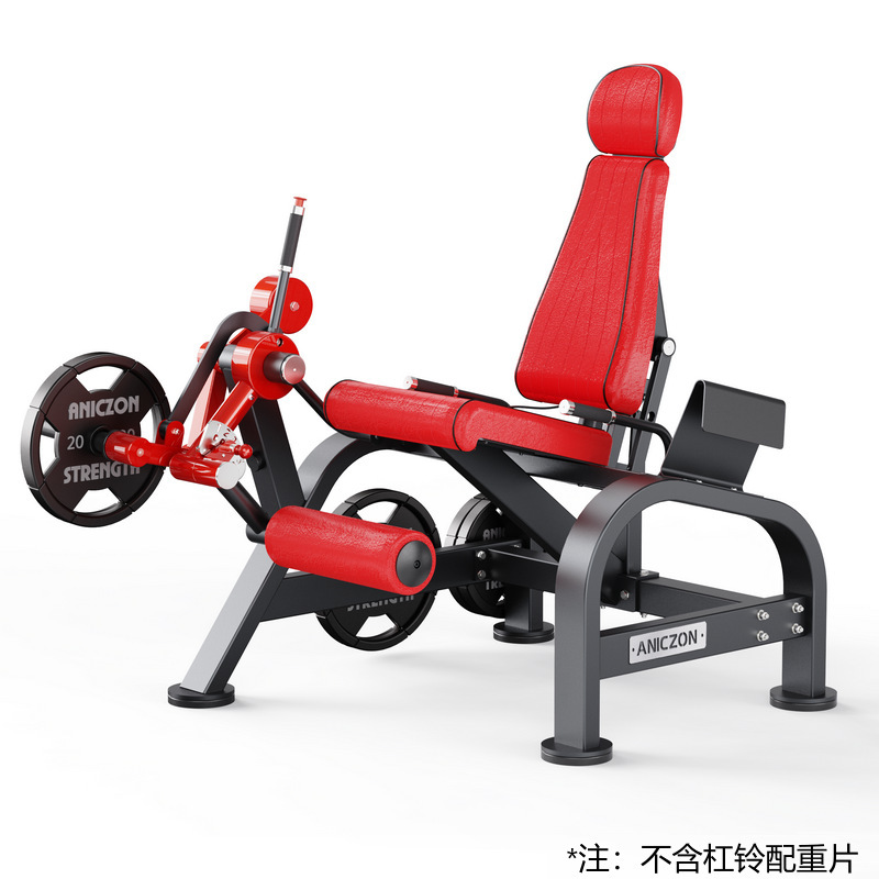 panatta器械帕纳塔健身器材钟摆深蹲训练器铁馆分动式45度倒蹬机|undefined