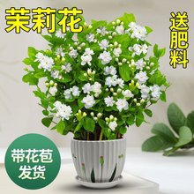 �ذ���ˮ����ˮ�����Ի��ܾGֲ���҃��̨�B����������ļ�