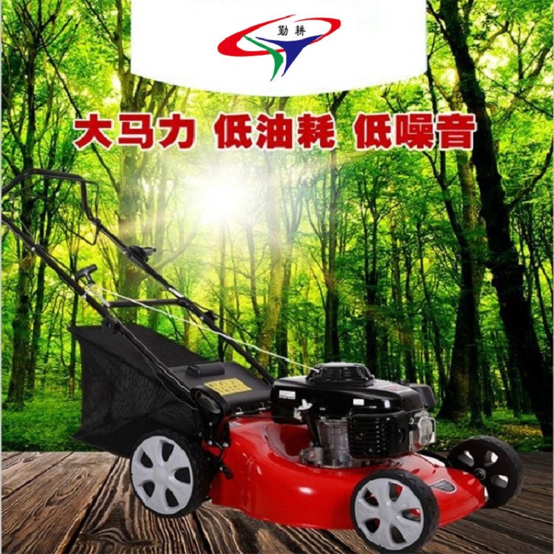 工厂批发汽油手推割草机  小型自走打草机 公园用21寸9马力草坪机