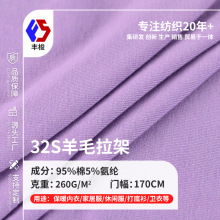 32s全棉羊毛拉架面料 磨毛打底衫保暖布料 弹力汗布氨纶针织面料