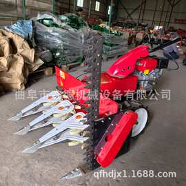 自走式小型割晒机 多功能稻草割晒机 养殖苜蓿草收割机图片