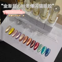 Erano 2024 новый золотой слой Cat Eye Лак для ногтей набор специально для леопардового фототерапевтического клея