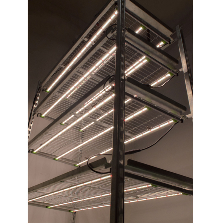 植物补光灯三管灯条水培蔬菜生长大棚种植600WLed育苗批发厂家