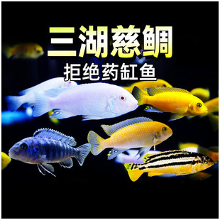 ���������~�Ꭷ�^�p�~�������Ӷ����P��ѩ���{���RС�ͺ��B���w�~