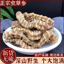云南虫草参中药材正宗干货地虫草顶天柱的功效野生地参泡酒新货