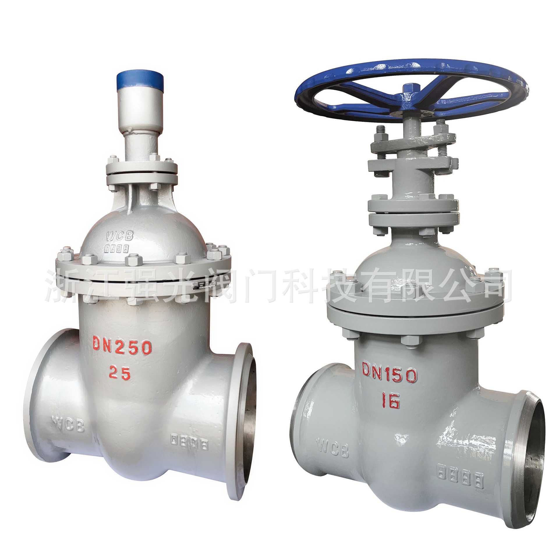 FDZ65H-25C,FDZ65Y-25C,铸钢碳钢，防盗焊接闸阀，防盗锁闭闸阀