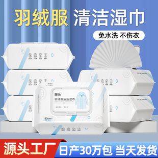 Down Jacket Cleaning Wipes No-Wash Magic Tool to Remove Oil Stains, Dry Cleaning Wipes, Clothing Dry Cleaning Agent, Portable and Clean