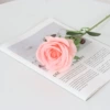 Round Rose silk cloth coral powder