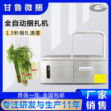 小型全自动感应束带机捆菜机超市蔬菜打包机塑料opp膜带无胶扎带