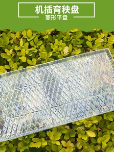 ������ҙC��ˮ�������P�Ӻ�PVC͸��ƽ�P9�����C�ñ���ܛ�P