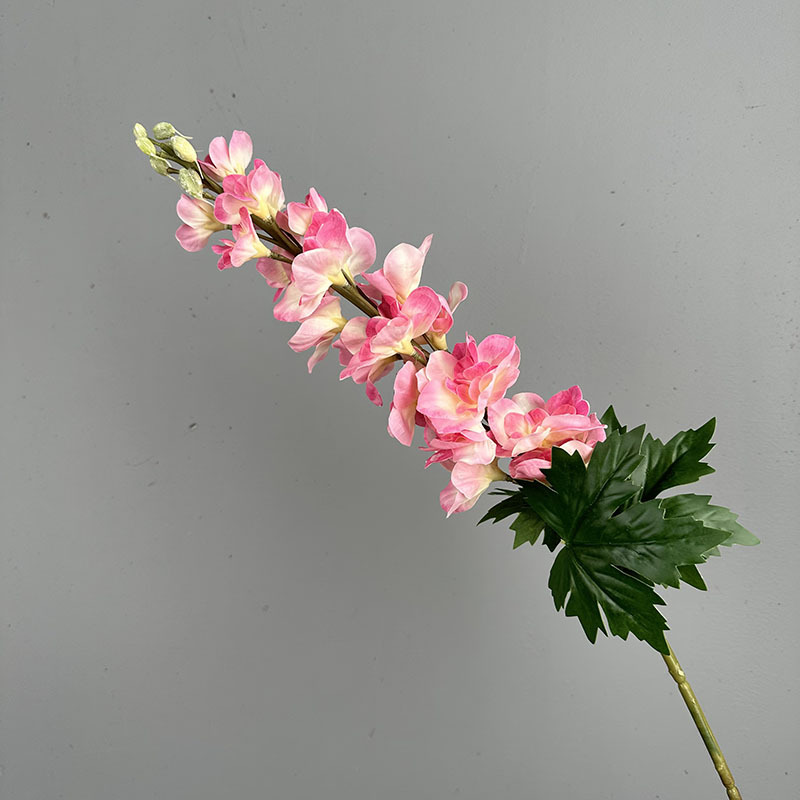 Film single -branched colorful flower rose red