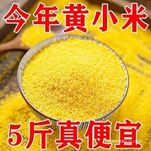 5��������С�����r�����SС�������r��С��������s�Zʳ��������