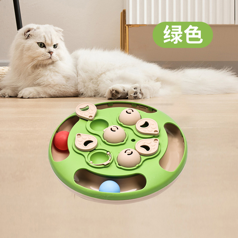 녹색 탁구 음식 트레이