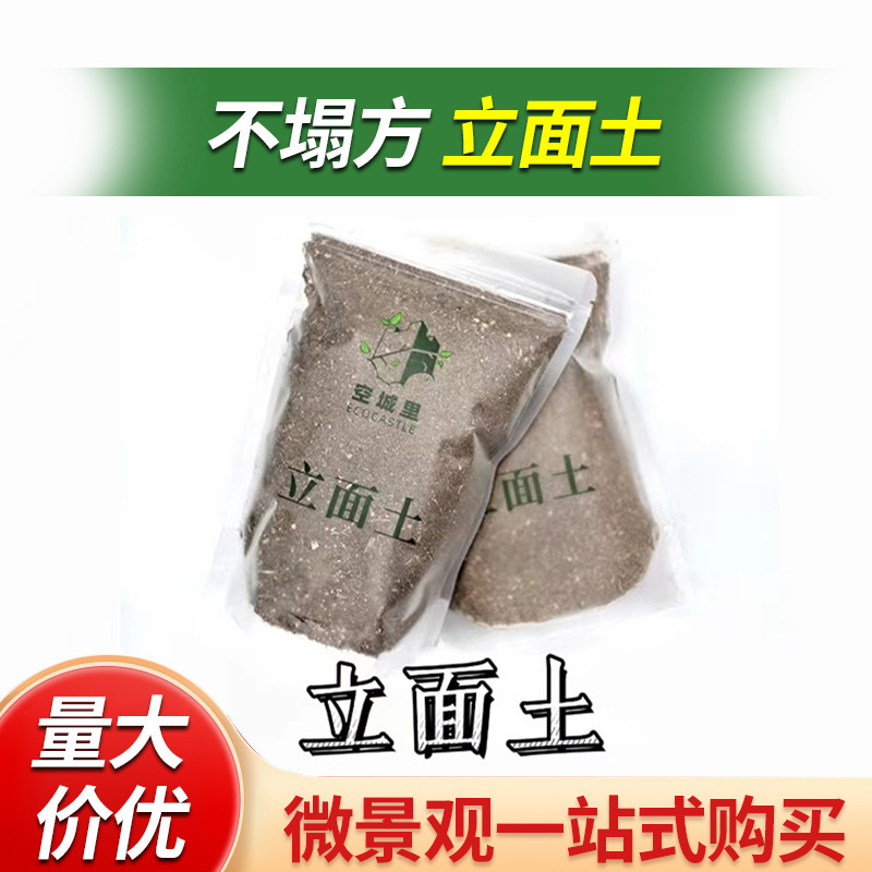 「In the Empty City」Facade Soil Clay Three-Line Red Jade Soil Chilean Moss Light Stone Volcanic Stone Micro Landscape Matrix