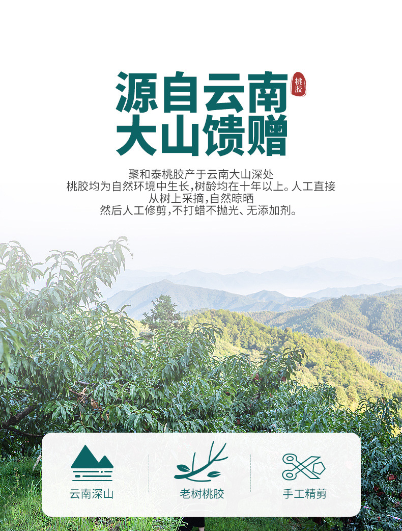 Peach Gum Dried Resin 100g Natural Wild Harvested Tao Jiao for Soup and Dessert overview