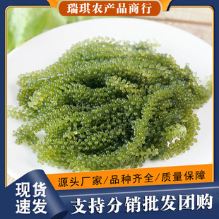 ��ͯ�������ݰl��ʳ���r�}�n���麣�����ͽ�ĩ�u�ϾGɫ�~���u�S��