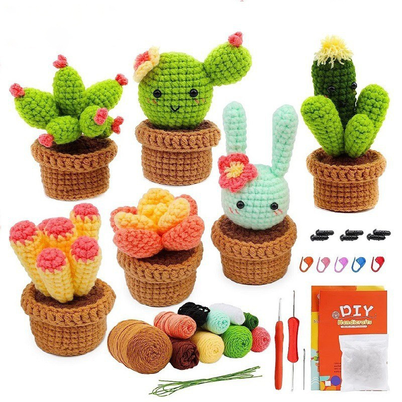 Cactus 6 pack