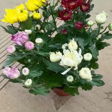 �ļ���צ���m�����Դ����_�̨ͥԺֲ������ȩ��ݗ���޸�����