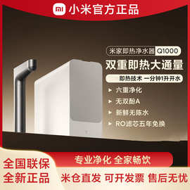 米家小'米即热净水器Q1000厨下式直饮机加热净饮机双重即热触