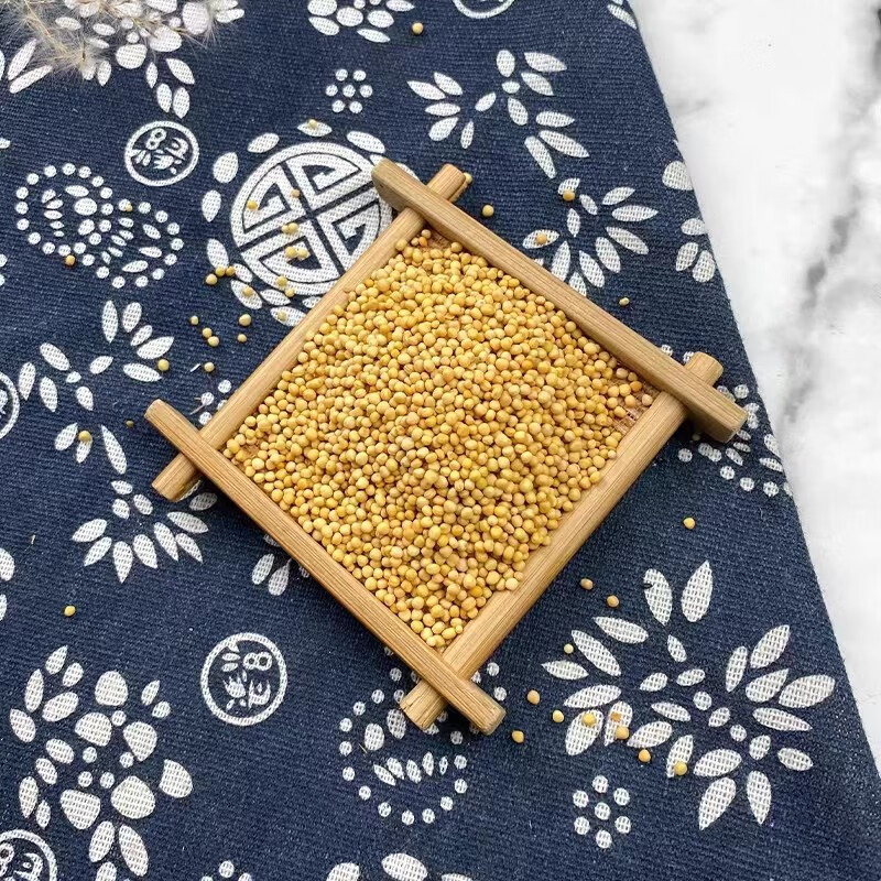 White Mustard Seed Bai Jie Zi 500g Dried Sinapis Alba Seeds Raw Herb for Traditional Decoctions in use