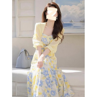 �ļ���Ͱ�����һ����2025�¿�����_�����´����黨�B��ȹ�ɼ���