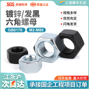 4.8�� 8.8���ߏ��Ȱl�� ��\������ñGB6170��ĸM2-M90