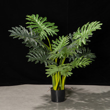 ����ֲ��٘䴺���lؔ���҃ȴ��;Gֲ���Կ͏d����辰�b����l