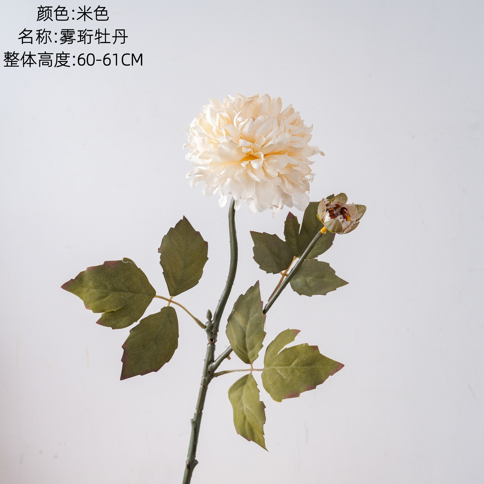 Wuheng Peony falsificó flores y plantas verdes artesanías de decoración de bodas al por mayor INS fabricantes de flores de simulación transfronterizas con flores en la mano