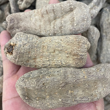 乌天麻干货云南天麻中药材昭通天麻散装大货批发昭通小草坝天麻