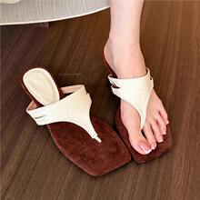 ��ۏ͹��p��Aֺ��ЬŮ2026�����¿�s�߼��аٴ�^������Ь