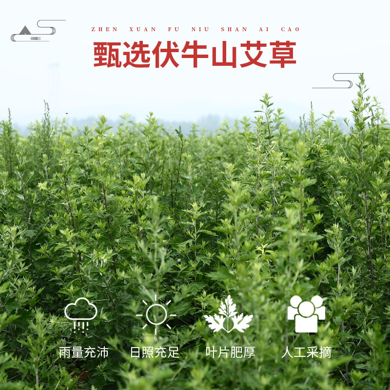 Luying 7-Year Aged Moxa Sticks Ai Tiao 1.8x20cm 10 Sticks Moxibustion Rolls for Warming Therapy specifications