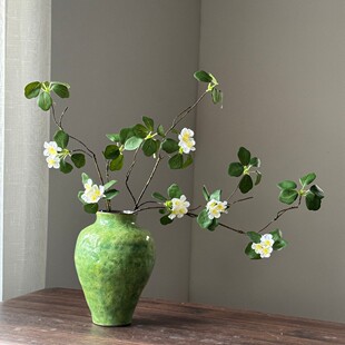 �羳���N���s�U���^��ɏ�����滨����GֲƷ�|Դ�^���S���lܛ�b