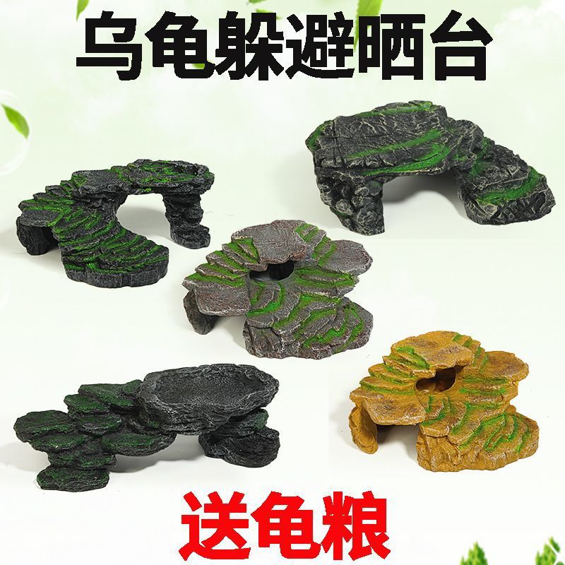 e445aee5-db9c-4c19-8eab-252fb8582ad0.jpe