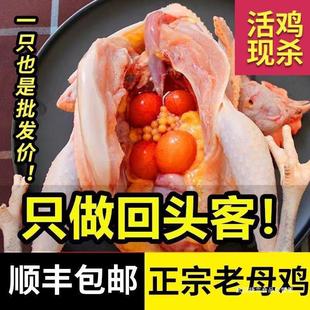 ��S�����r�ҬF������ɢ�B��ĸ�u���u�ߵ��u���u���u���r�������u