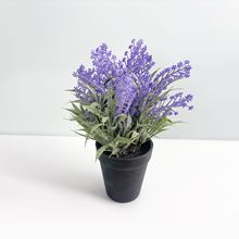 ֲG~Сԕ[辰Ҿ҃bĔz޹²ݼٻ