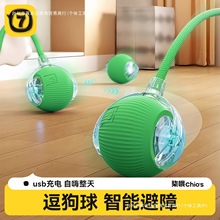 ��������Ԅ��޹�����ҧ���˶���������С��Ȯ����С��ͻͻ��