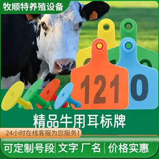 ţ�������Ͽ�ţ��������ţ�������ڶ�������ţ���ˏS��