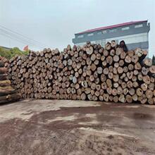 ���Ҹ��M��Ƥ��ԭľ Ƥ�Ұ�� �ߙn��ľ�Ҿ����� ��̹�ˇƷ��