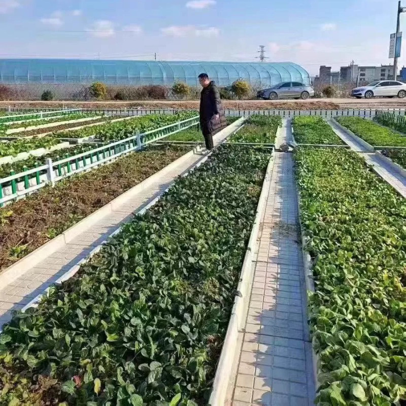 庭院菜沟板塑料混凝土新农村花园菜沟板菜园菜沟板菜地沟槽户外