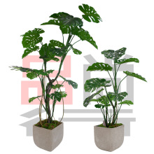 �¿��������ֲ��������������~�P���҃ȾGֲ�b٘�Gֲ�[��