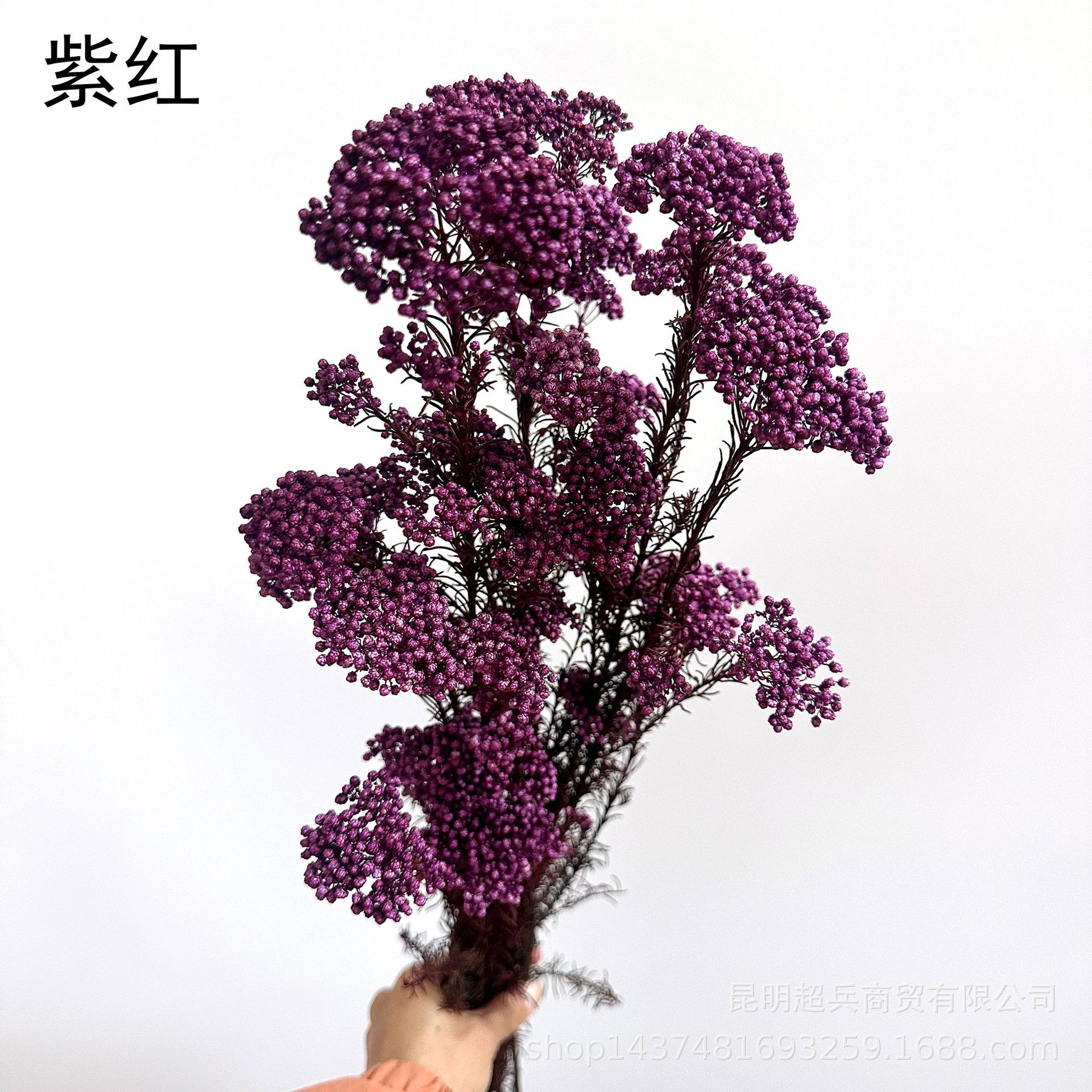 rouge violet