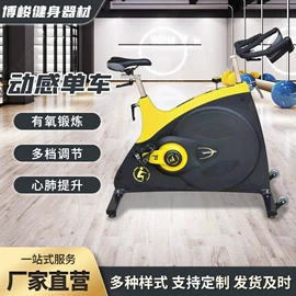 其他健身器材;健身车;器械减震垫