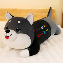 �¿��ʿ��ë�q��߹�ʿ���L�l������̖��������A�ȴ���˯�X����