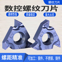 �ݼy��Ƭ 60�� ��/���ݼy���� ���� ���P䓌���16erag60/16IRAG60