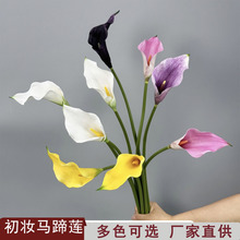 ��Ʒ�|EVA2̖��ֻ�R��ɏ���滨�Ƶ�͏d����쾰�bٻ��[�����Q