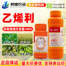 ������섩��ϩ����ϡ�������޻���������ˮ���㽶�޻����L�{����