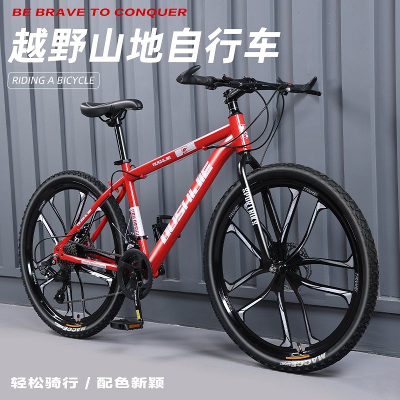 Mountain bike disc brake