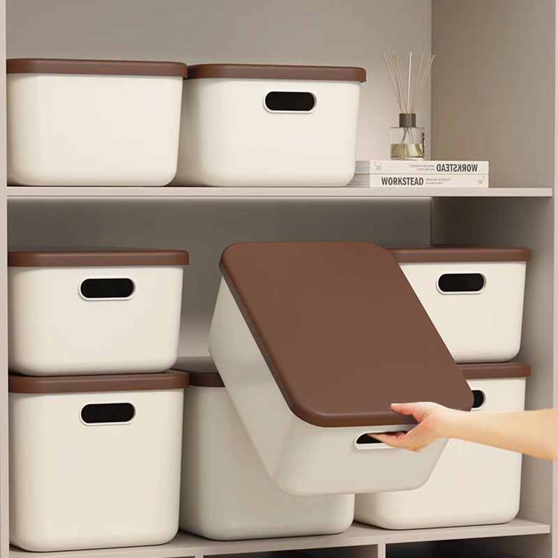 Desktop Storage Box for Makeup and Snacks, Rectangular Plastic Storage Basket, Kitchen Storage Box with Lid, Snack Basket