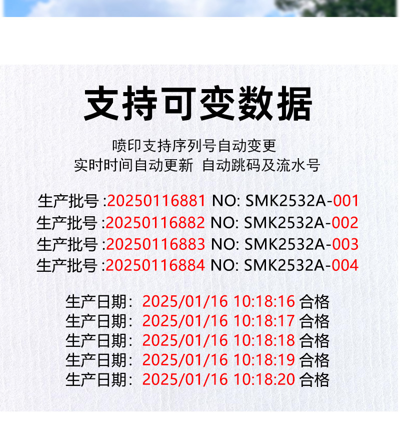 S1730手持喷码器详情页中文_05